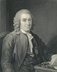 Porträt von Carolus Linnaeus