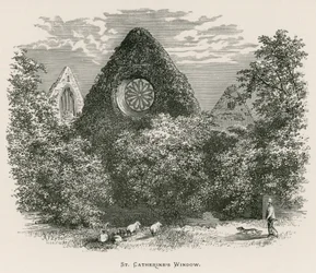Dryburgh Abbey, St. Catherines Fenster