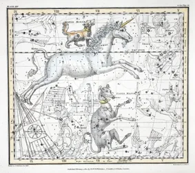 Die Sternbilder (Tafel XXV) Canis Major, Canis Minor, Monoceros, Argo Navis, l