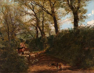 Frühlingssonnenschein: Ein Weg in der Nähe von Melrose