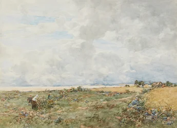 Brombeersammler