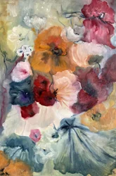 Bunte Mohnblumenblüte