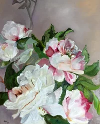 Rosa und weiße Pfingstrosen