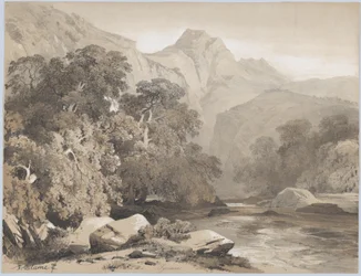 Landschaft