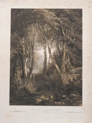 Landschaft