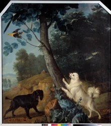 Merluzine und Cocoq, die Hunde von Ludwig XIV. (1638-1715)
