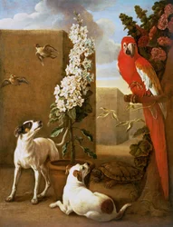 Papagei mit Hunden