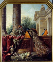 Stillleben mit Pfau, Papagei, Affe und Weintrauben. François Desportes (1661-1743), 18. Jahrhundert. Maße: 2,05 x 1,8 m. Lyon, Musée des Beaux-Arts