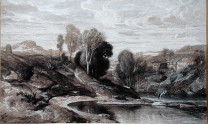 Der Reiher