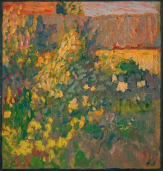 Blühender Garten