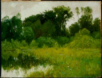 Nach dem Regen, am Minnehaha Creek