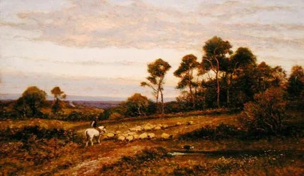 Eine Weide in Surrey