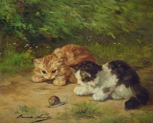 Kätzchen und Schnecke