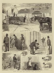 Heim für verlorene und hungernde Hunde, Battersea