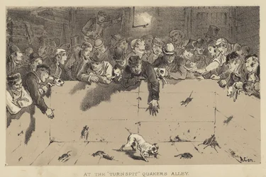 Am Drehspieß, Quakers Alley