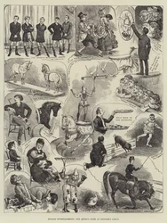 Ferienunterhaltung, Notizen unseres Künstlers im Hengler