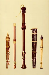 Ein Doppelflageolett, eine deutsche Flöte, eine Bassblockflöte, ein Doppelflageolett und eine Blockflöte, aus „Musical Instruments“