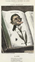 Verwelkte Blume: Karikatur auf Littré - Illustration vom 01.02.1871 in „Blumen, Früchte und Gemüse des Tages“