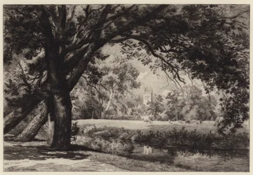 Magdalen Turm von den Christ Church Wiesen