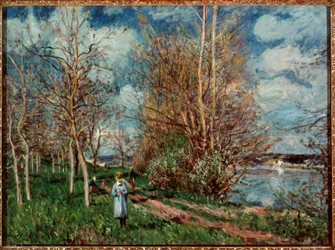 Die kleinen Wiesen im Frühling