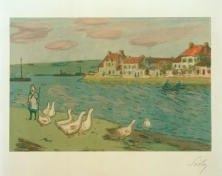 Die Gänse