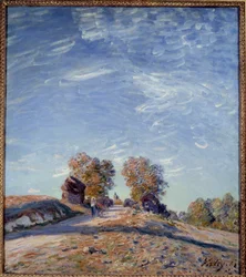 Pfad, der zur Sonne führt