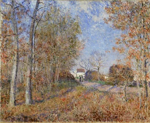 Straße am Waldrand