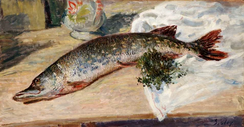 Der Hecht, 1888