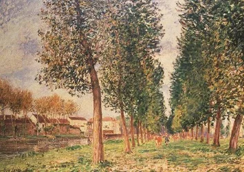 Die Pappelallee in Moret, bewölkter Tag, Morgen