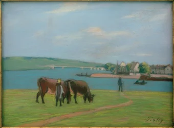 Kühe am Ufer der Seine in Saint-Mammès