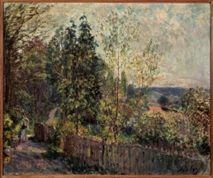 Waldweg