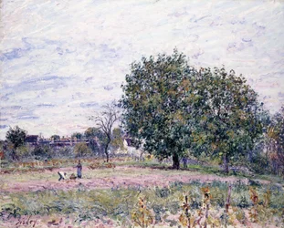 Walnussbäume, Effekt des Sonnenuntergangs - Erster Tag im Oktober, 1882