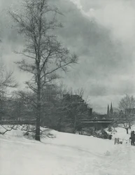 Ein Winterhimmel - Central Park