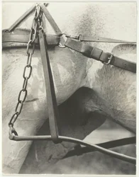 Equivalent, Spiritual America, 1923