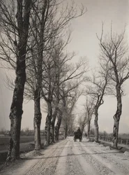 Novembertage