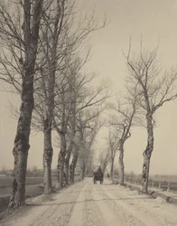 Novembertage