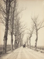 Novembertage