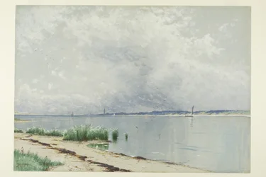 Reflektierte Schilfrohre