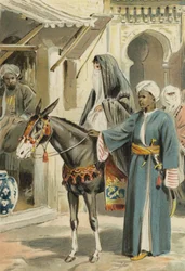 Märchen aus Tausendundeiner Nacht: Die Geschichte von Aboulhassan und Schemselnihar