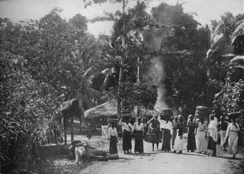 Ein Dschungeldorf, um 1890, 1910