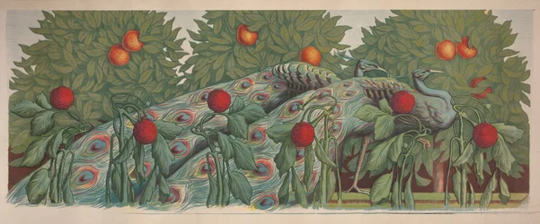 Die Pfauen, 1903