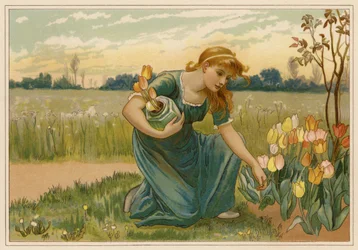 Das Gänseblümchen