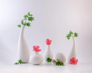 Elegantes Blumenstillleben