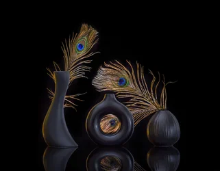 Elegantes Stillleben mit Pfau