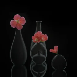 Minimalistische Blumenvasen