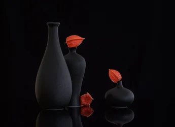 Stillleben mit orangefarbenen Physalis