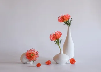 Orangefarbene Protea-Vasen