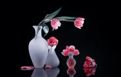Stillleben mit rosa Tulpen