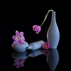Gespiegelte violette Tulpen