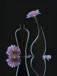 Heitere florale Spiegelungen